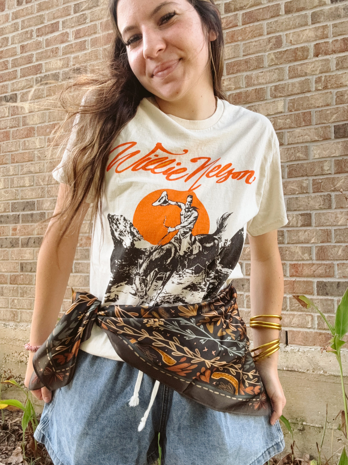 Willie Nelson Country Graphic