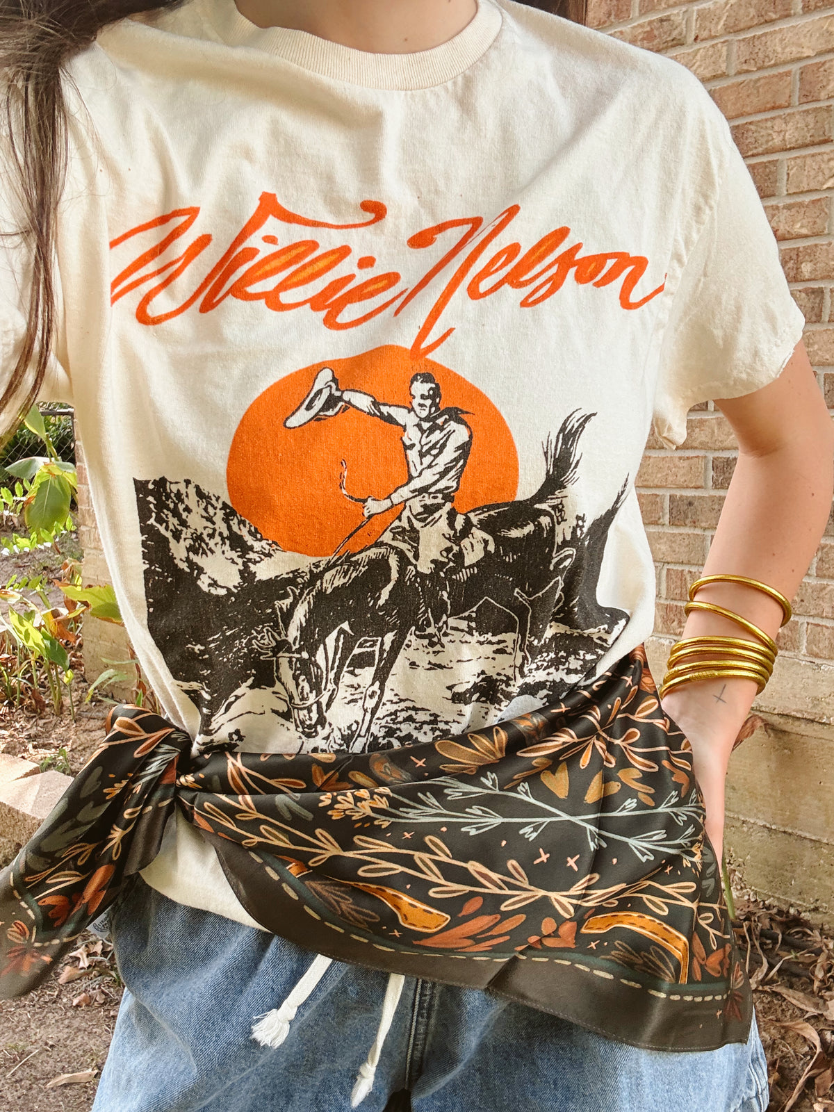 Willie Nelson Country Graphic