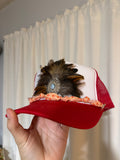 Feather Crown Red